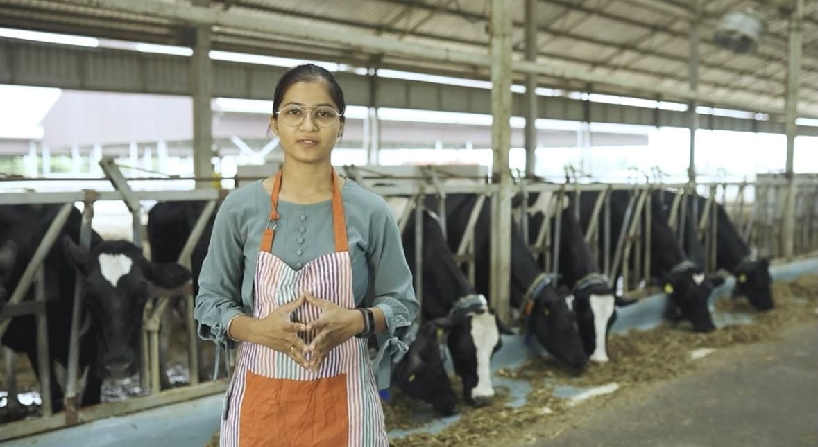 GreenRoot student smiling inside a dairy barn with Holstein cows during an international internship